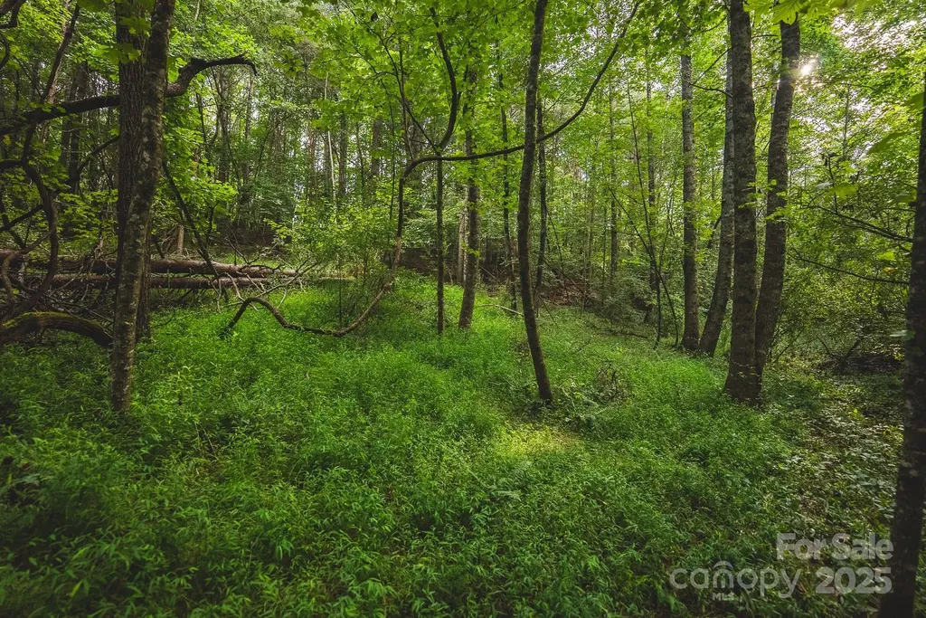 00 Johnson Ridge Road Elkin NC 28621