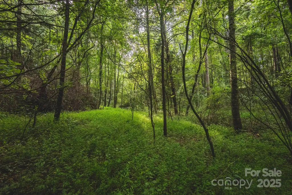 00 Johnson Ridge Road Elkin NC 28621