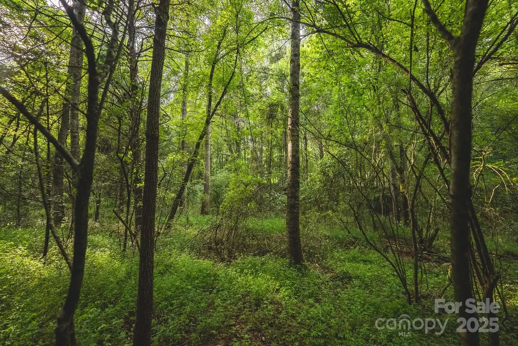 00 Johnson Ridge Road Elkin NC 28621