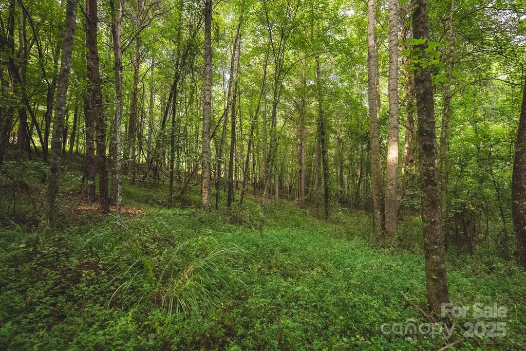 00 Johnson Ridge Road Elkin NC 28621