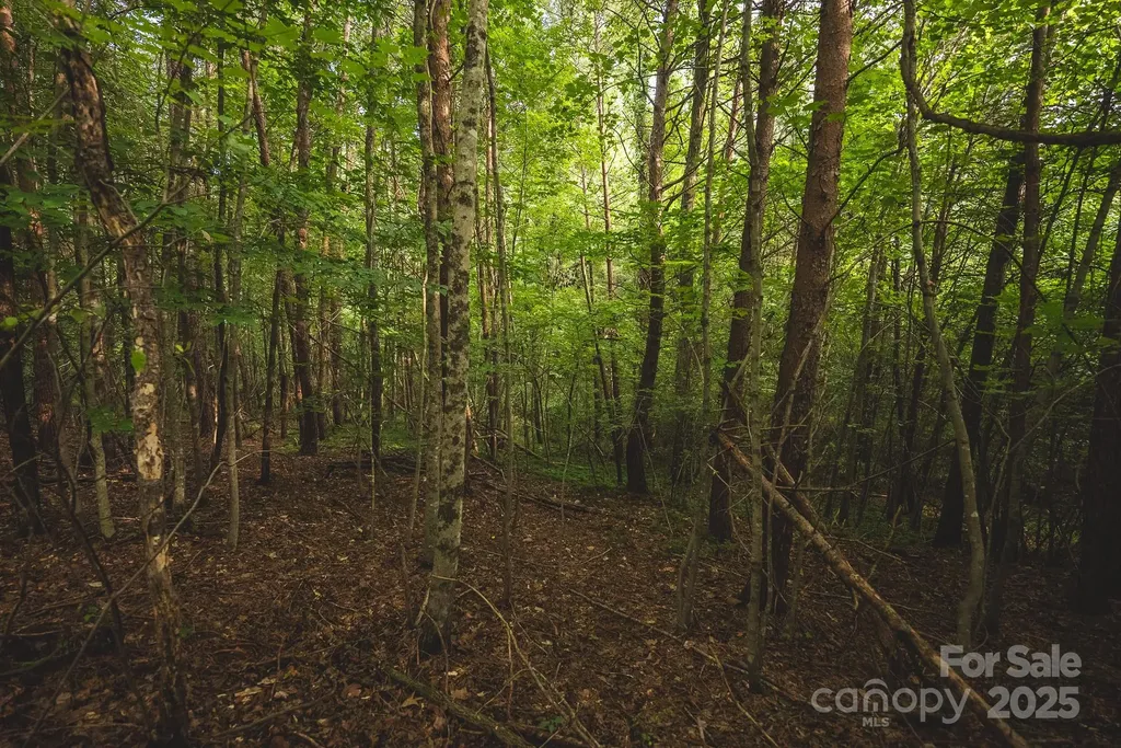 00 Johnson Ridge Road Elkin NC 28621