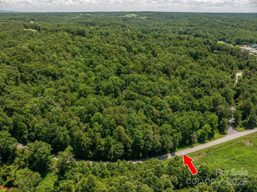 Lot 161 Coxe Road Rutherfordton NC 28139
