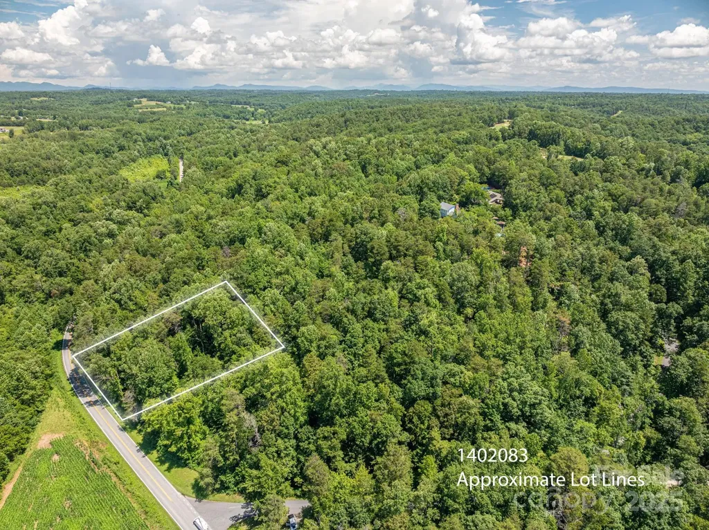 Lot 161 Coxe Road Rutherfordton NC 28139