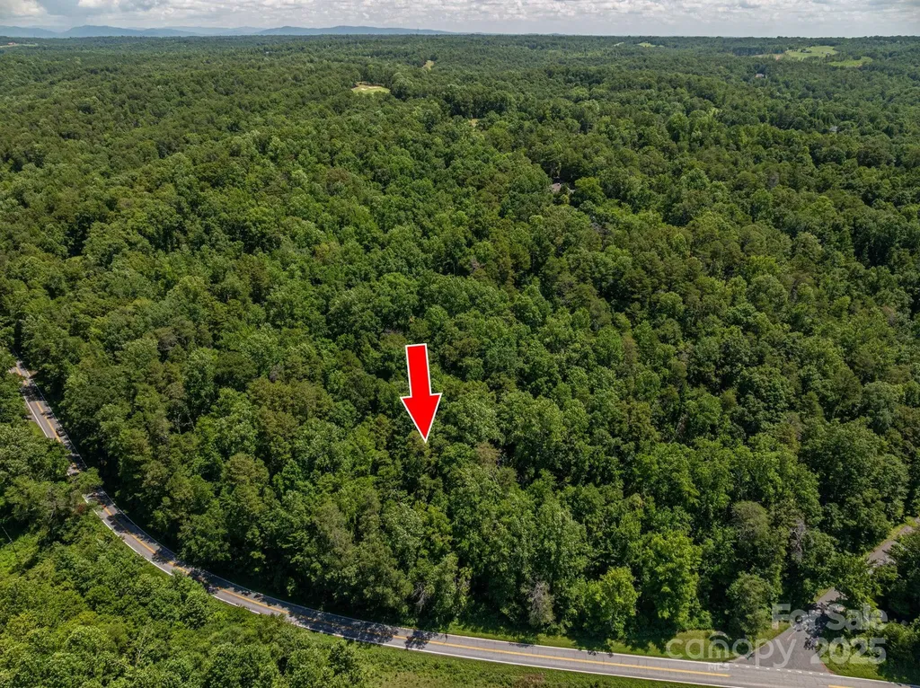 Lot 161 Coxe Road Rutherfordton NC 28139