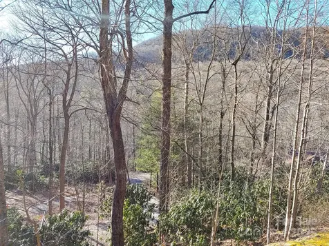 48 Buck Ridge Road Fairview NC 28730