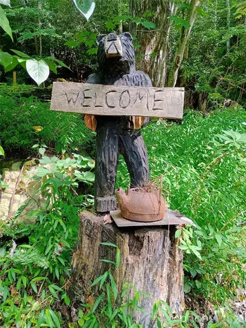 48 Buck Ridge Road Fairview NC 28730