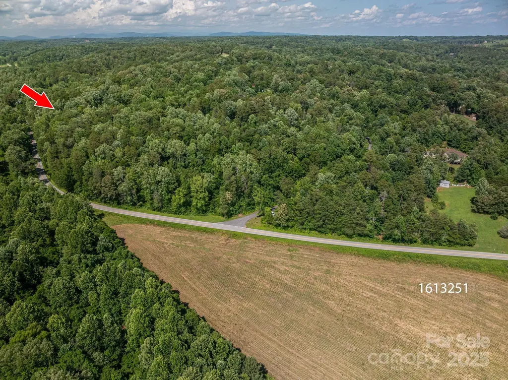Lot 163 Coxe Road Rutherfordton NC 28139