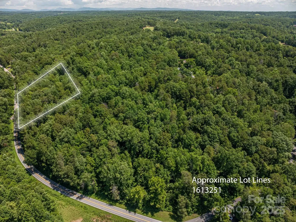Lot 163 Coxe Road Rutherfordton NC 28139