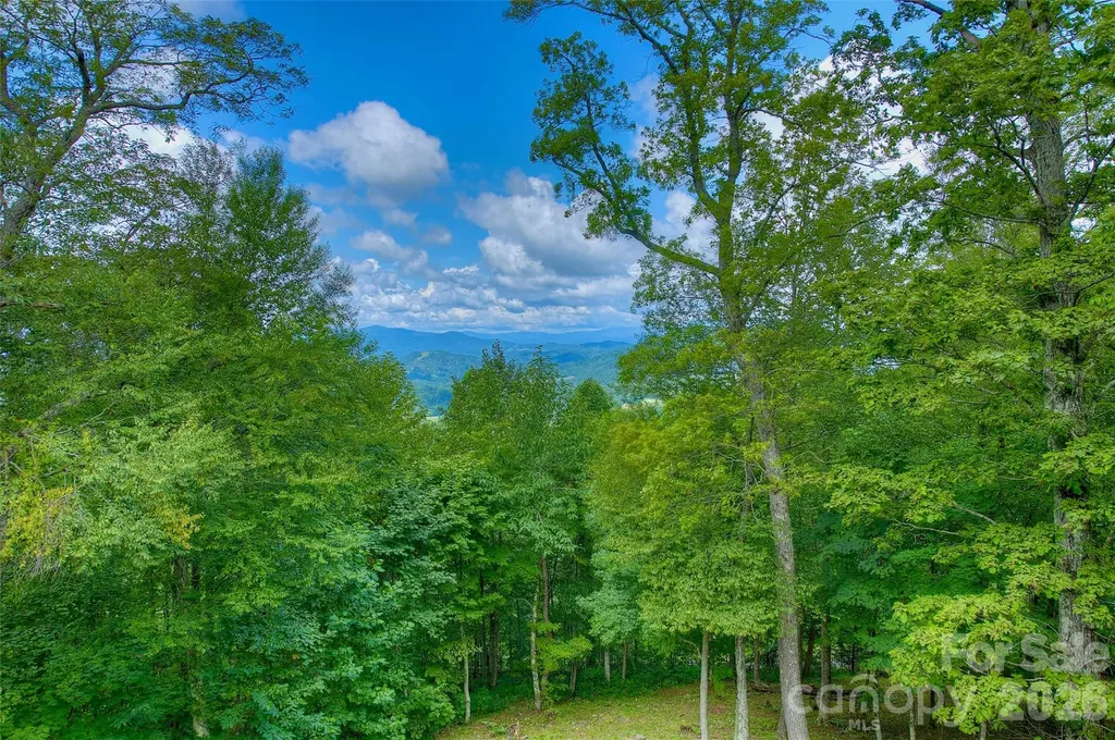 1024 Arrowhead Ridge Road Spruce Pine NC 28777