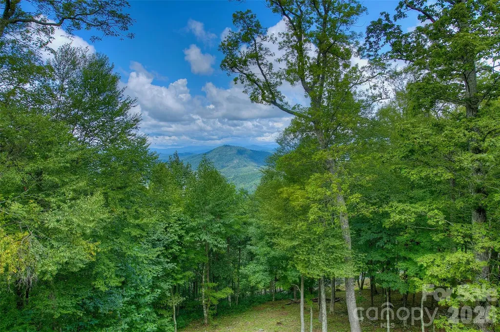 1024 Arrowhead Ridge Road Spruce Pine NC 28777