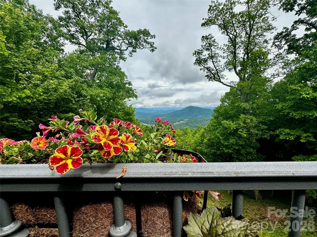 1024 Arrowhead Ridge Road Spruce Pine NC 28777