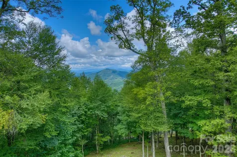 1024 Arrowhead Ridge Road Spruce Pine NC 28777
