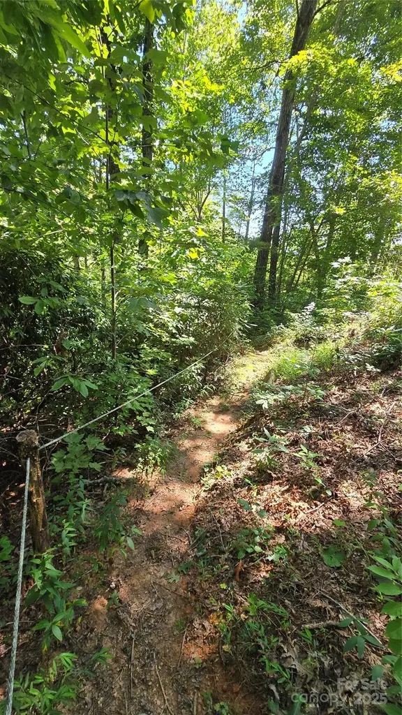 288 Long Ridge Road Old Fort NC 28762