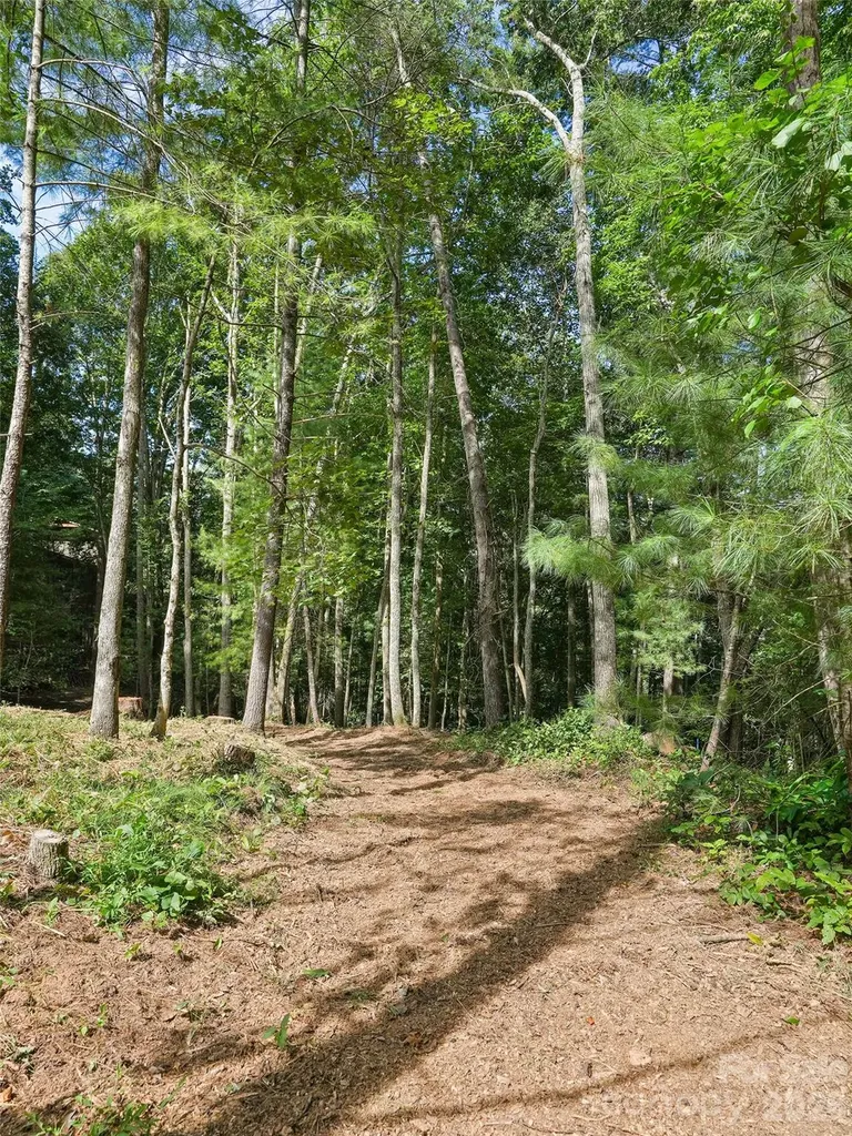 11 Tahchee Trail Fletcher NC 28732