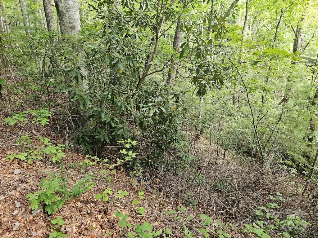 99999 Majestic Trace Hendersonville NC 28739