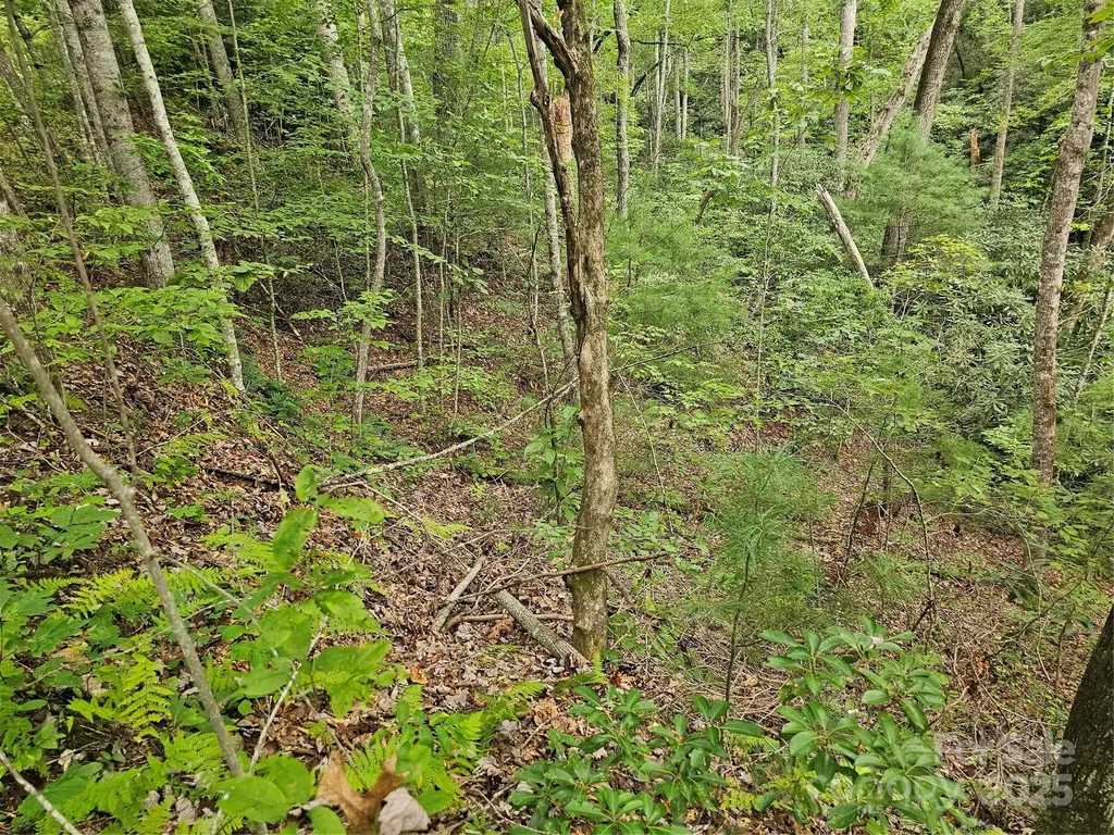 99999 Majestic Trace Hendersonville NC 28739