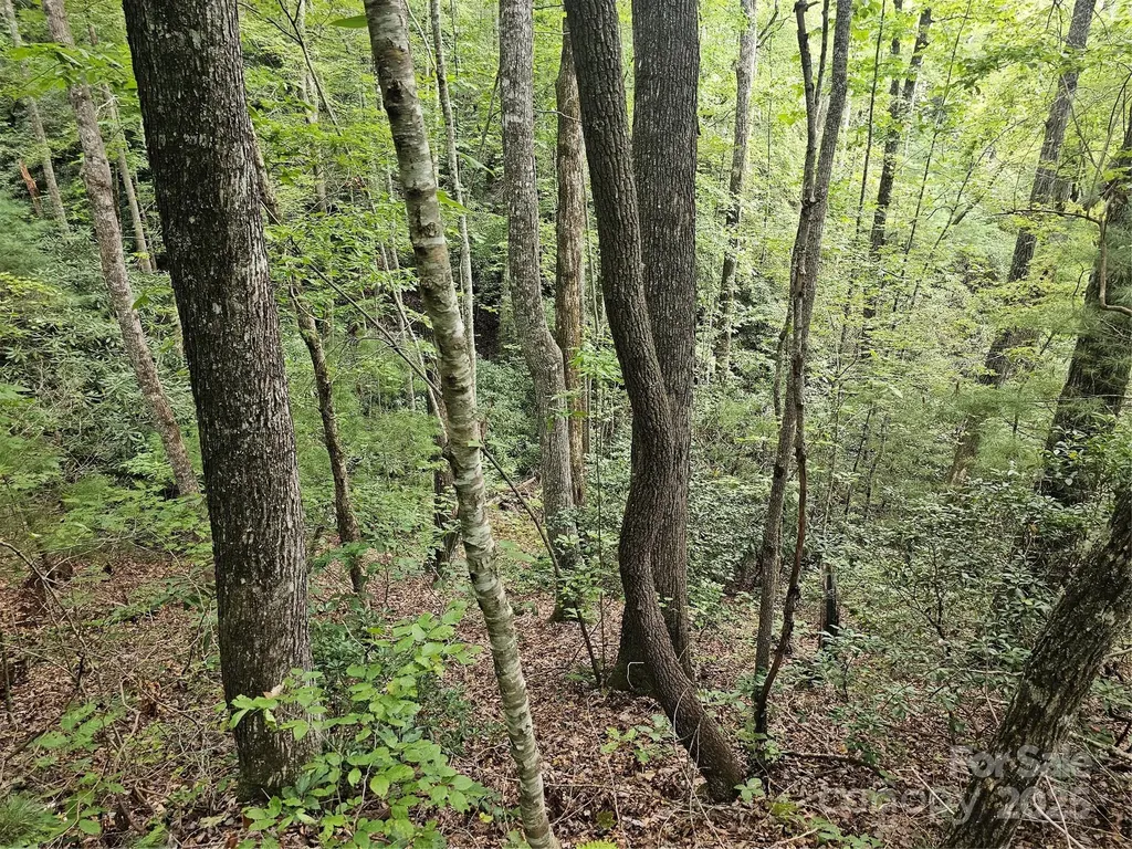 99999 Majestic Trace Hendersonville NC 28739