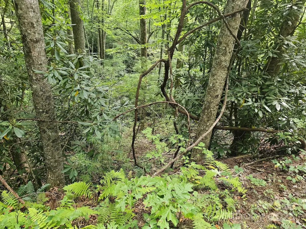 99999 Majestic Trace Hendersonville NC 28739
