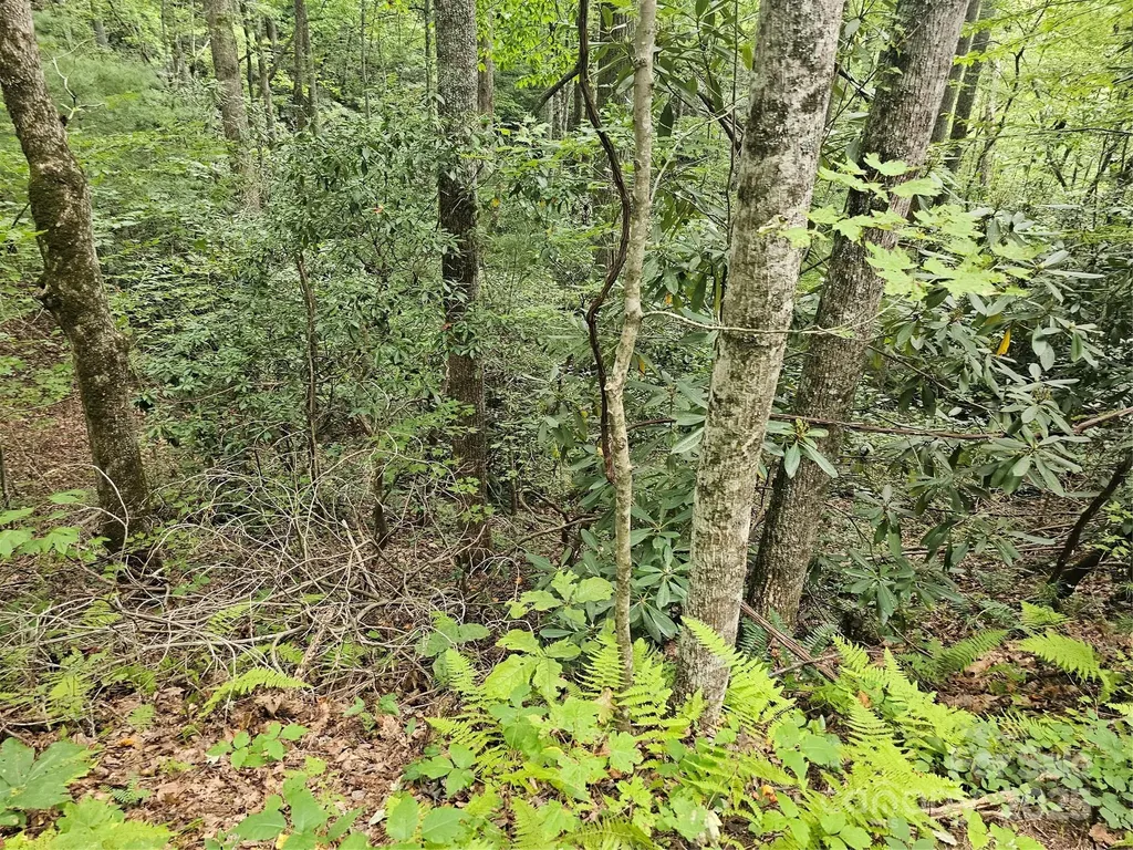 99999 Majestic Trace Hendersonville NC 28739