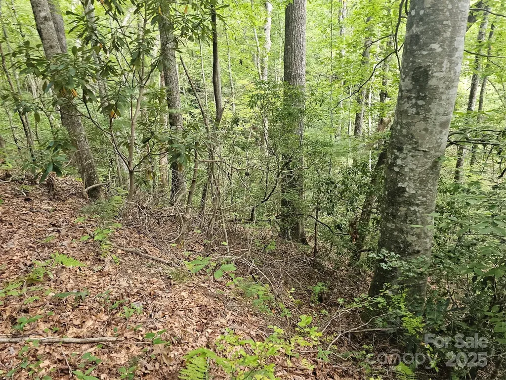 99999 Majestic Trace Hendersonville NC 28739