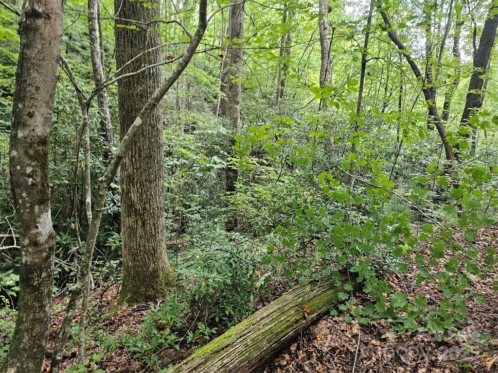 99999 Majestic Trace Hendersonville NC 28739