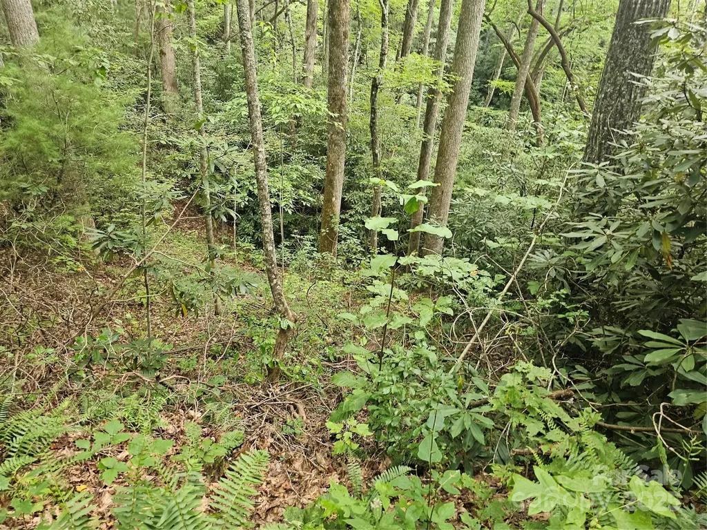 99999 Majestic Trace Hendersonville NC 28739
