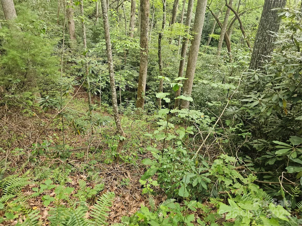 99999 Majestic Trace Hendersonville NC 28739
