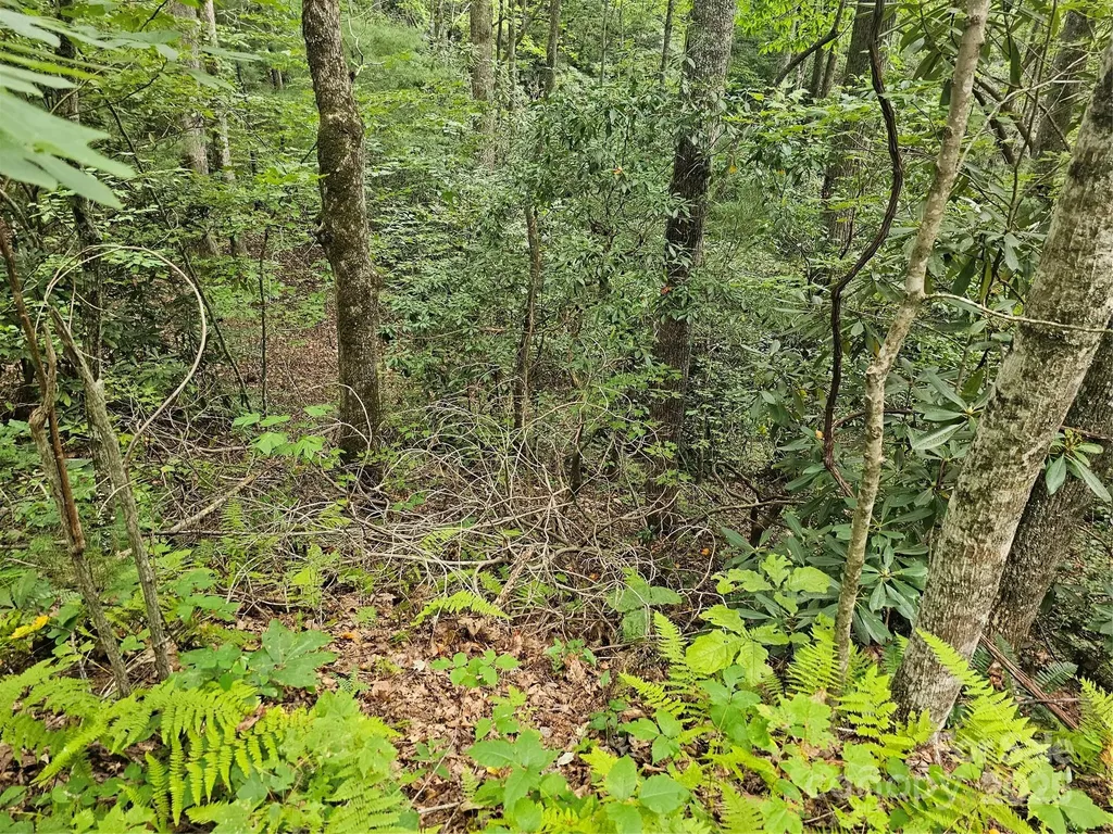 99999 Majestic Trace Hendersonville NC 28739