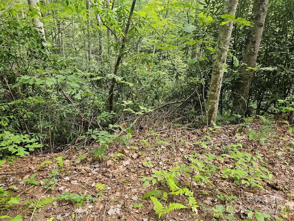 99999 Majestic Trace Hendersonville NC 28739