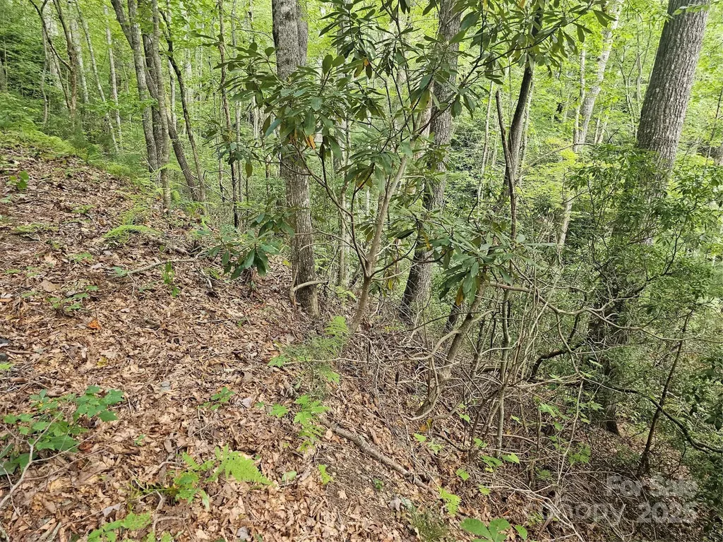 99999 Majestic Trace Hendersonville NC 28739