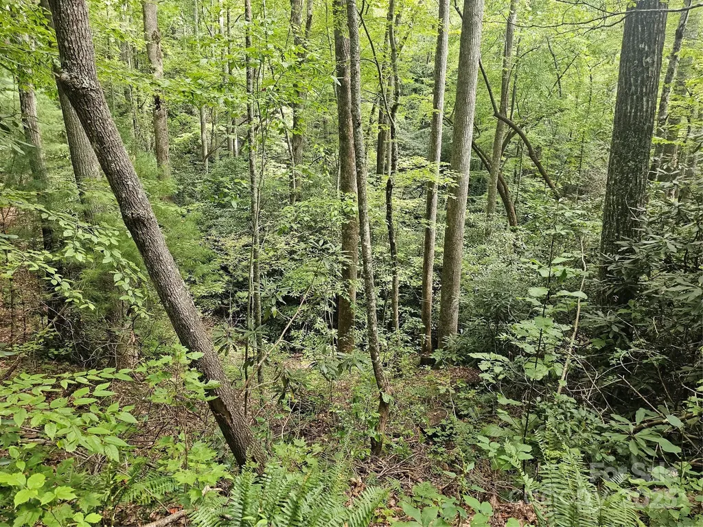 99999 Majestic Trace Hendersonville NC 28739