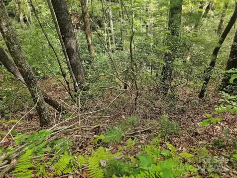 99999 Majestic Trace Hendersonville NC 28739