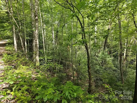 99999 Majestic Trace Hendersonville NC 28739
