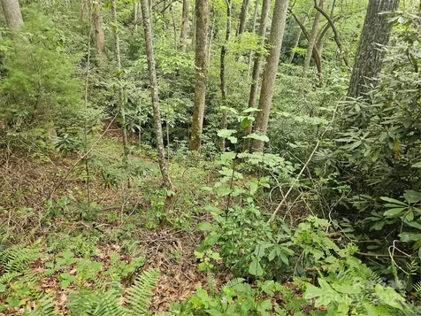 99999 Majestic Trace Hendersonville NC 28739