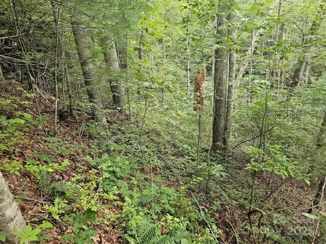 99999 Majestic Trace Hendersonville NC 28739