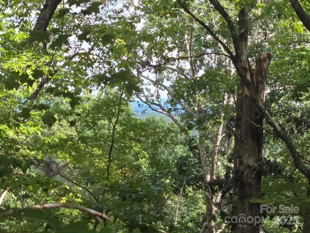 Lot 34 Hawks Nest Trail Lake Lure NC 28746