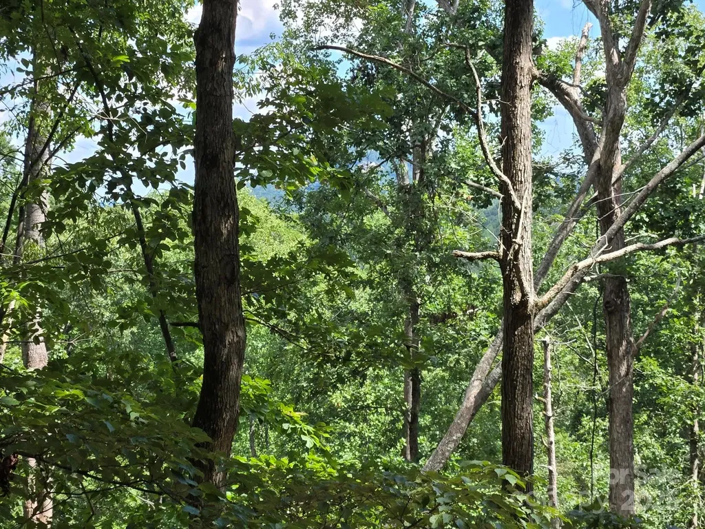 Lot 34 Hawks Nest Trail Lake Lure NC 28746