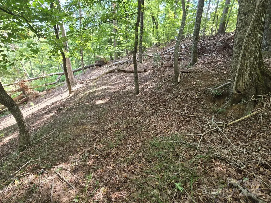 Lot 34 Hawks Nest Trail Lake Lure NC 28746