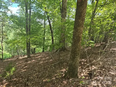 Lot 34 Hawks Nest Trail Lake Lure NC 28746