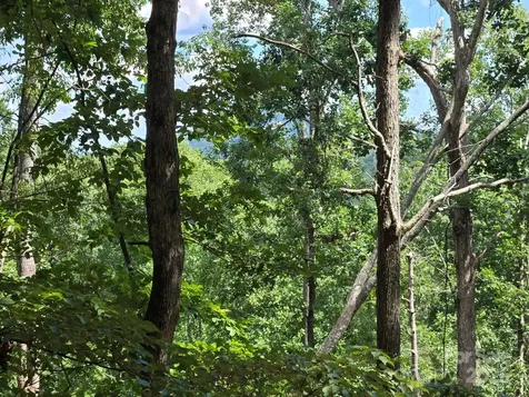 Lot 34 Hawks Nest Trail Lake Lure NC 28746