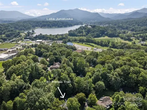 40 Panda Trail Waynesville NC 28785