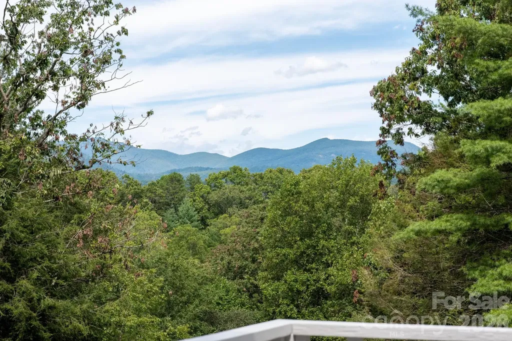 Asheville NC, 50 Springwood Drive