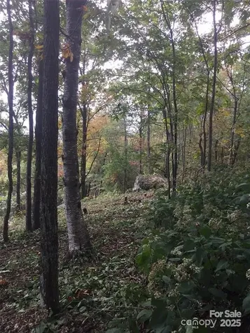 00 Morning Ride Drive Columbus NC 28722