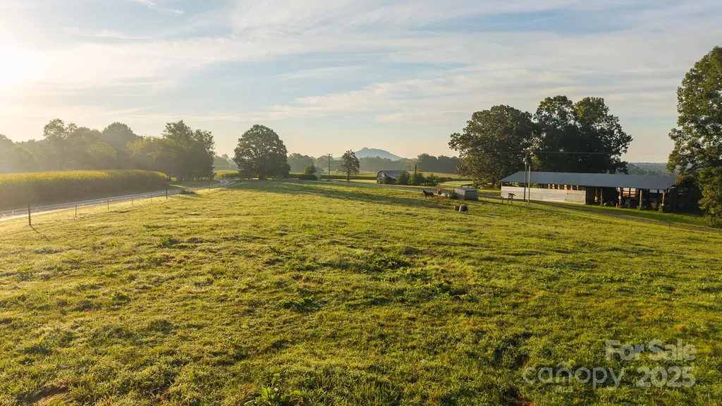 167 Buck Hollow Trail Ararat NC 27007