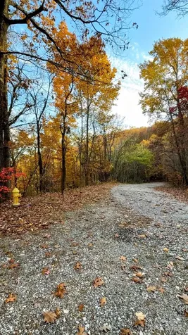 630 Melrose Mountain Road Tryon NC 28782