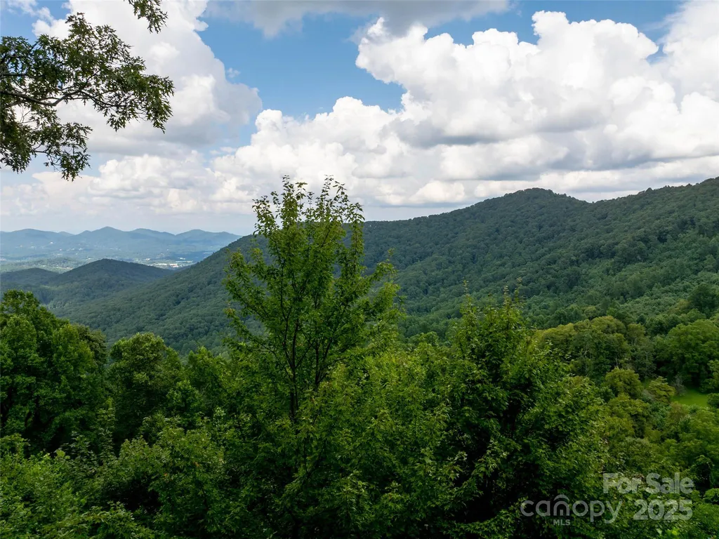 99999 Billy Cove Road Candler NC 28715
