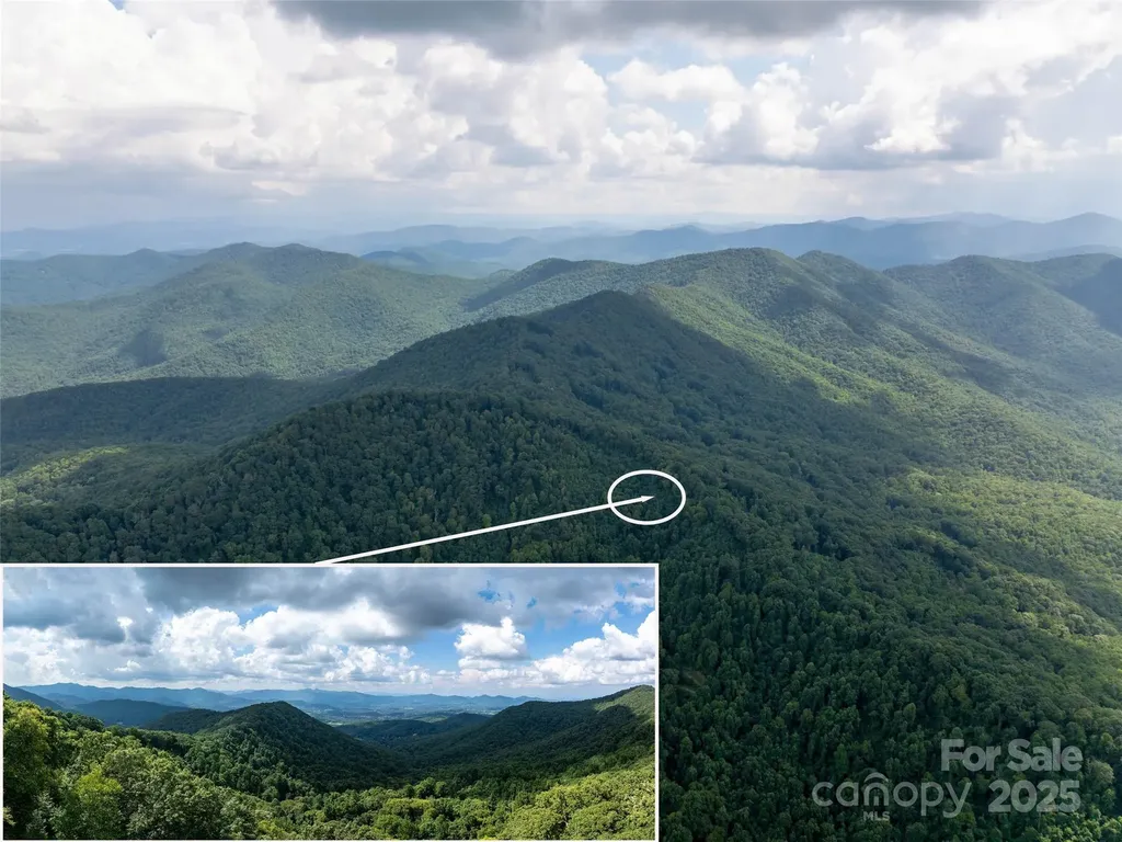 99999 Billy Cove Road Candler NC 28715