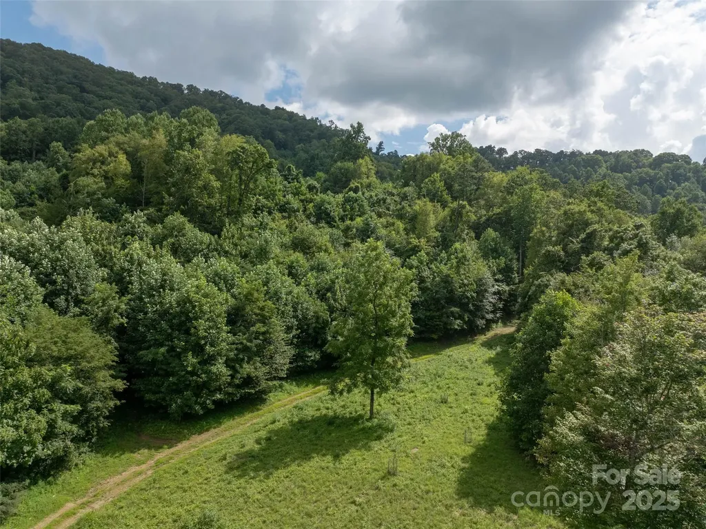 99999 Billy Cove Road Candler NC 28715
