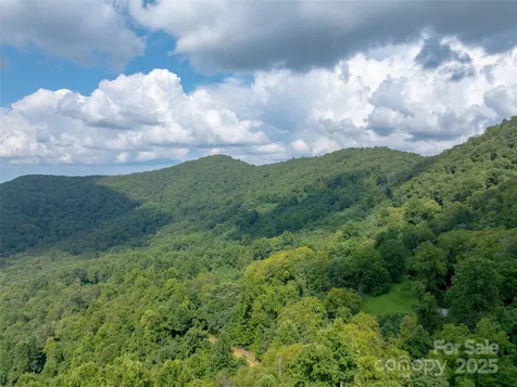 99999 Billy Cove Road Candler NC 28715