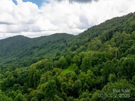 99999 Billy Cove Road Candler NC 28715